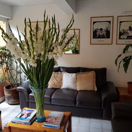Meson La Casa De Cuernavaca Hotell Eksteriør bilde